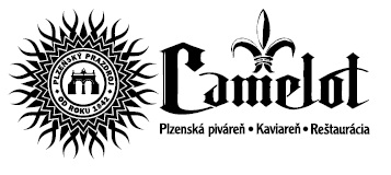 ec_partneri_ke_camelot